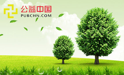 网站建设案例