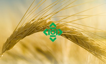 新合作集团 大型国企