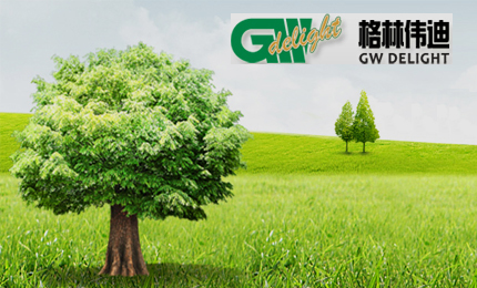 格林伟迪股份公司 双语版 