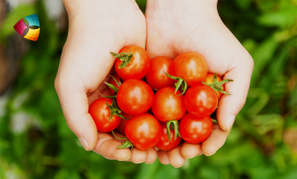 维乐夫 集团公司