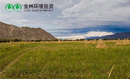 金州控股 中国500强