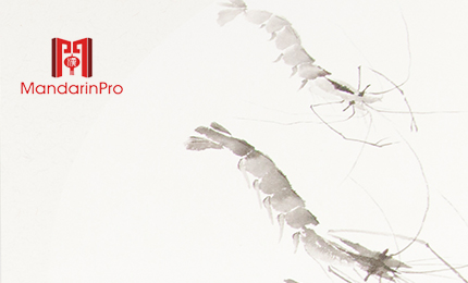 志学教育 企业官网建设